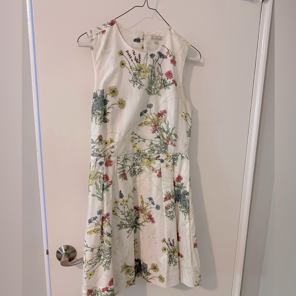 Gap, cotton fit, and flare dress